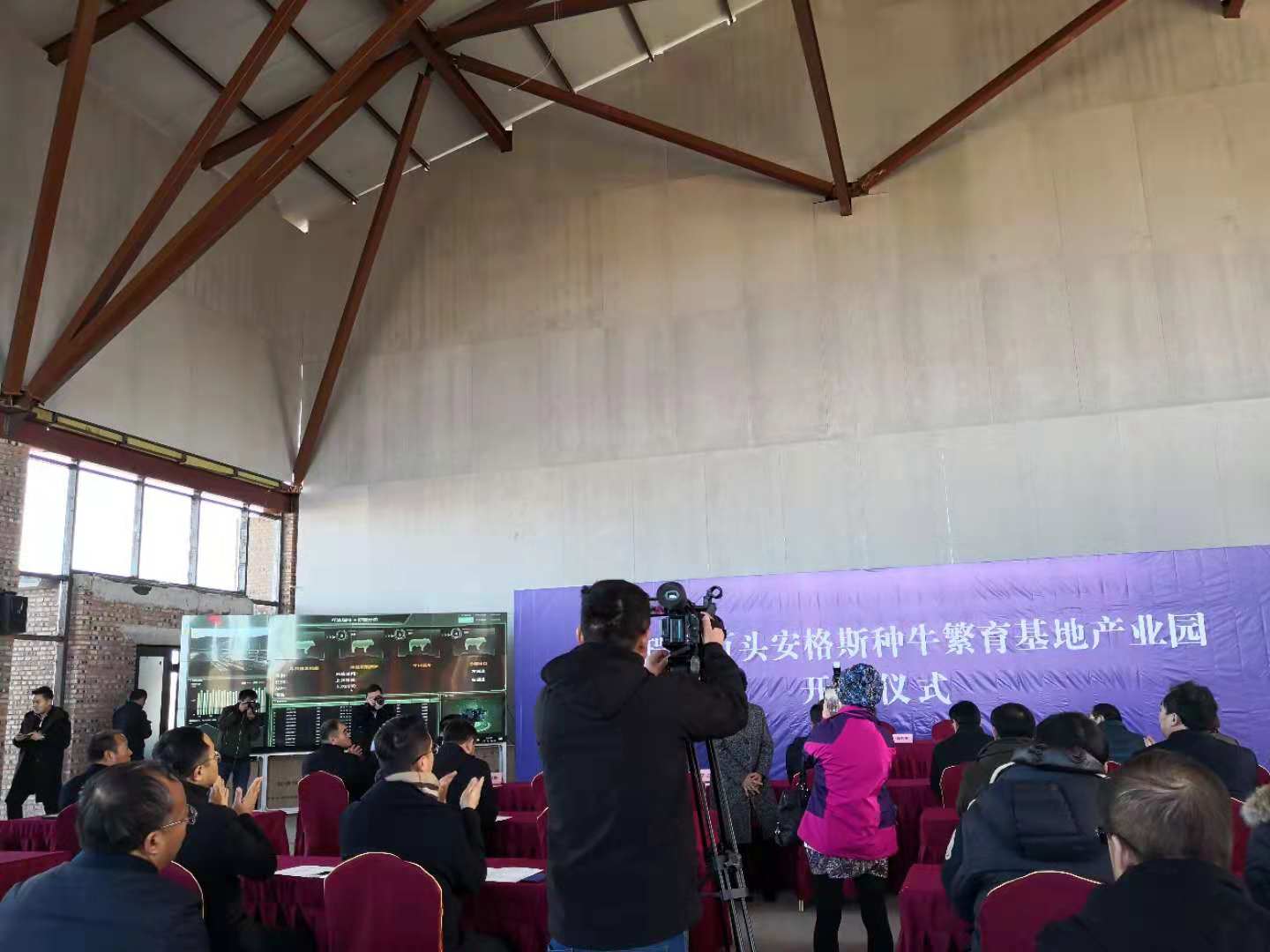 萬(wàn)頭安格斯繁育基地落戶林西縣  云輝牧聯(lián)助力智慧牧場(chǎng)信息化建設(shè)