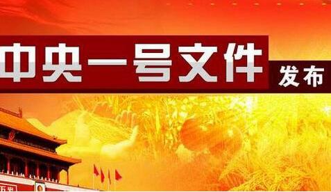 2019年中央一號文件公布，來看看干貨有哪些 
