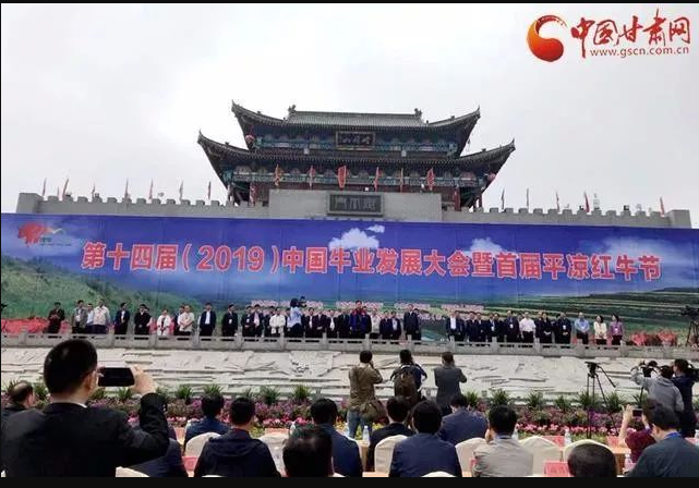 平?jīng)黾t牛怎么“牛”？——云輝牧聯(lián)楊順武：從養(yǎng)殖到餐桌建立全過(guò)程溯源