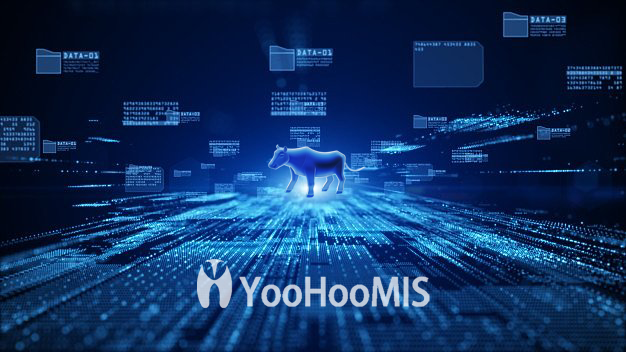 【解決方案】——為生產賦能，云輝牧聯(lián)YooHooMIS智能磅房管理系統(tǒng)推進智慧農業(yè)發(fā)展