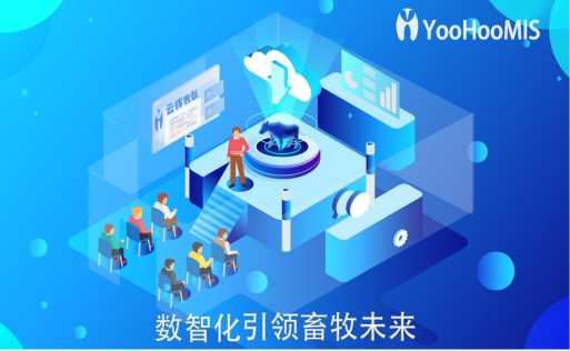 【云輝牧聯(lián)牲畜耳標耳牌】——提升養(yǎng)殖質量，利于牲畜疾病控制